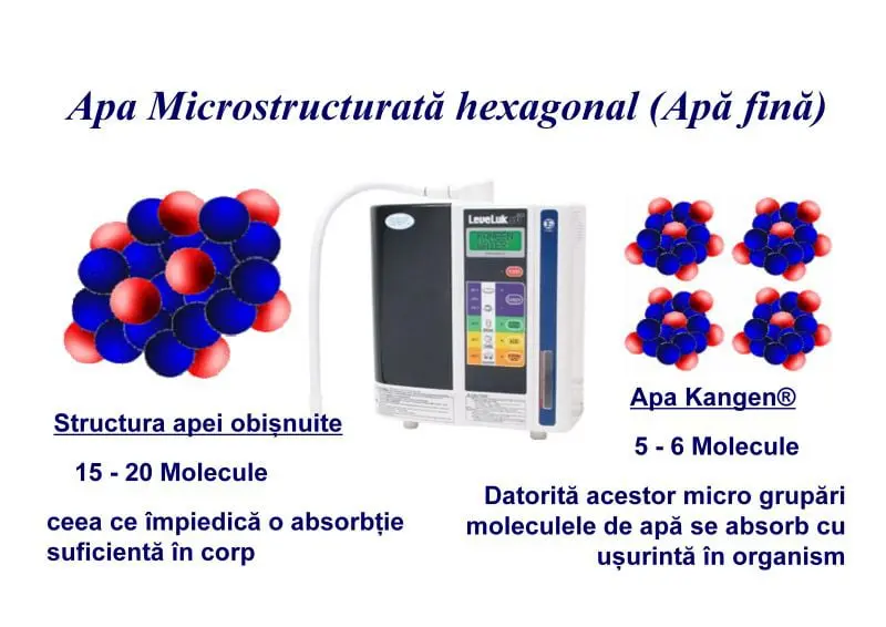 Apa microstructurata hexagonal